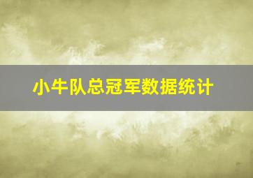 小牛队总冠军数据统计