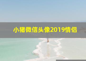 小猪微信头像2019情侣