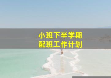 小班下半学期配班工作计划