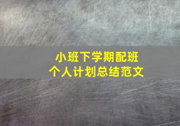 小班下学期配班个人计划总结范文