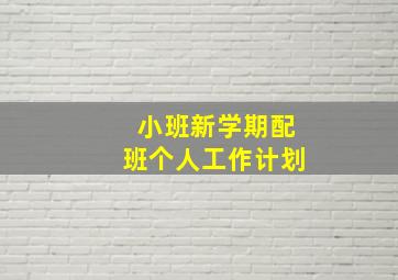 小班新学期配班个人工作计划