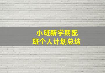 小班新学期配班个人计划总结