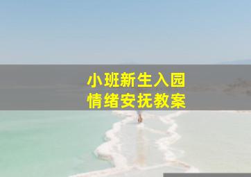 小班新生入园情绪安抚教案