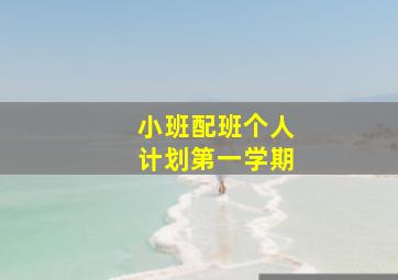 小班配班个人计划第一学期