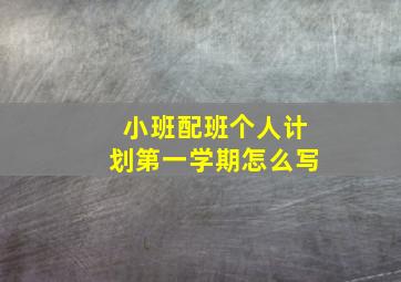 小班配班个人计划第一学期怎么写