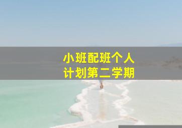 小班配班个人计划第二学期