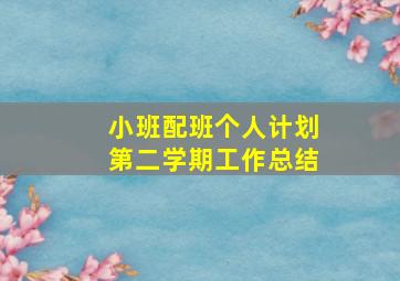 小班配班个人计划第二学期工作总结