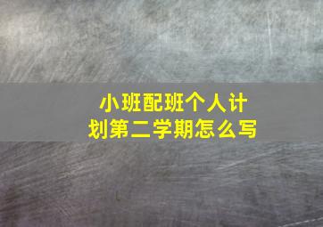 小班配班个人计划第二学期怎么写