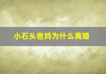 小石头爸妈为什么离婚