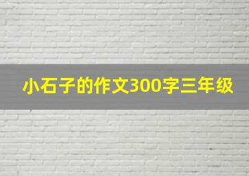 小石子的作文300字三年级