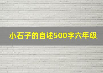 小石子的自述500字六年级