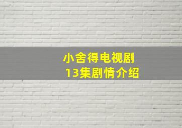 小舍得电视剧13集剧情介绍