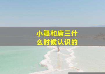 小舞和唐三什么时候认识的