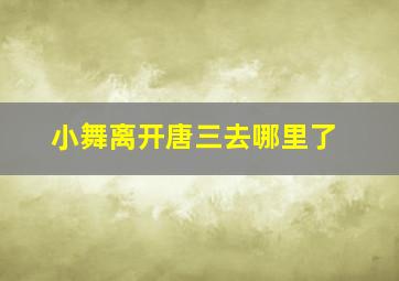 小舞离开唐三去哪里了