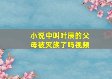 小说中叫叶辰的父母被灭族了吗视频