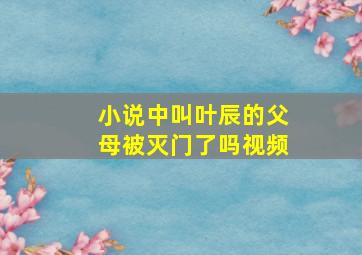 小说中叫叶辰的父母被灭门了吗视频