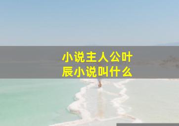 小说主人公叶辰小说叫什么