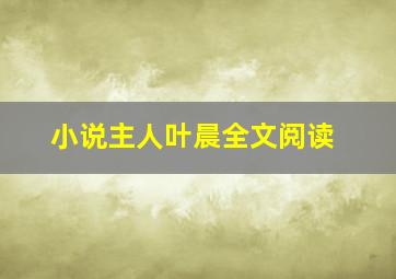 小说主人叶晨全文阅读