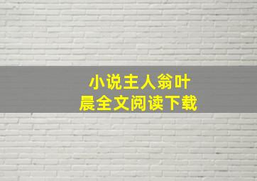 小说主人翁叶晨全文阅读下载