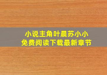 小说主角叶晨苏小小免费阅读下载最新章节