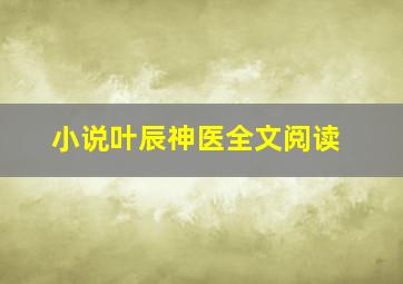 小说叶辰神医全文阅读