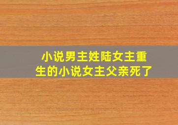 小说男主姓陆女主重生的小说女主父亲死了