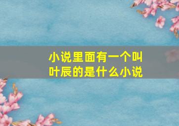 小说里面有一个叫叶辰的是什么小说