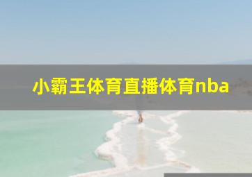 小霸王体育直播体育nba