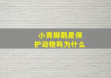 小青脚鹬是保护动物吗为什么