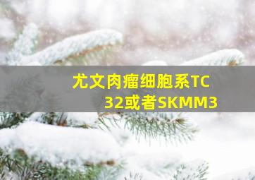 尤文肉瘤细胞系TC32或者SKMM3