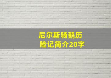 尼尔斯骑鹅历险记简介20字