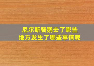 尼尔斯骑鹅去了哪些地方发生了哪些事情呢