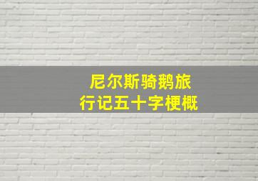 尼尔斯骑鹅旅行记五十字梗概