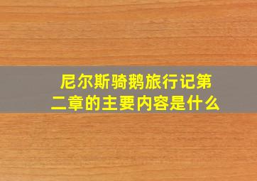 尼尔斯骑鹅旅行记第二章的主要内容是什么