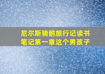 尼尔斯骑鹅旅行记读书笔记第一章这个男孩子