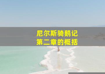 尼尔斯骑鹅记第二章的概括