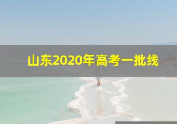 山东2020年高考一批线