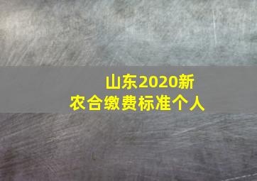 山东2020新农合缴费标准个人