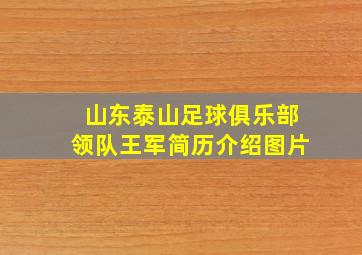 山东泰山足球俱乐部领队王军简历介绍图片