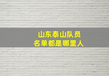 山东泰山队员名单都是哪里人