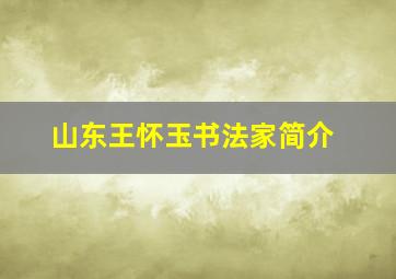 山东王怀玉书法家简介