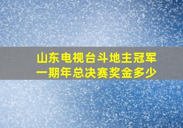 山东电视台斗地主冠军一期年总决赛奖金多少