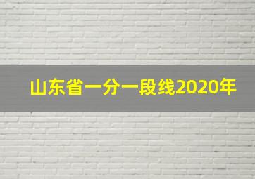 山东省一分一段线2020年