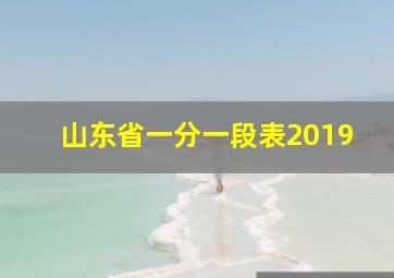 山东省一分一段表2019