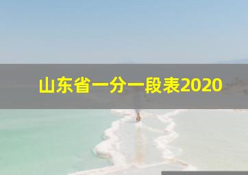 山东省一分一段表2020