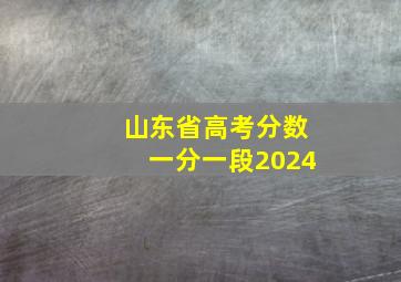 山东省高考分数一分一段2024