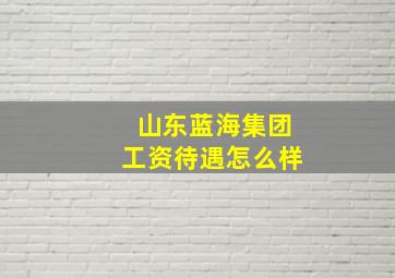 山东蓝海集团工资待遇怎么样