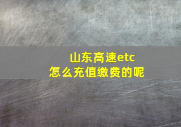 山东高速etc怎么充值缴费的呢