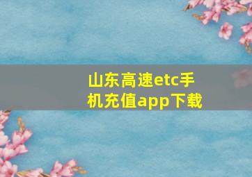 山东高速etc手机充值app下载