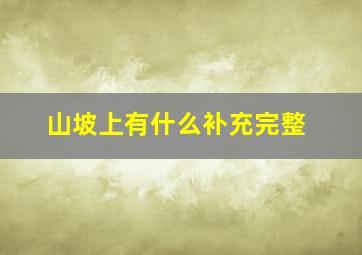 山坡上有什么补充完整